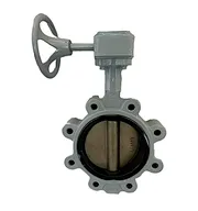 butterfly valve types